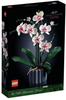 10311: Orchid, Lego 10311, T-Rex (Terence), Ideas/CUUSOO, Pretoria East