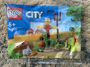 30590: Farm Garden & Scarecrow - Retired & Hard to find Poly Bag, Lego 30590, T-Rex (Terence), City, Pretoria East