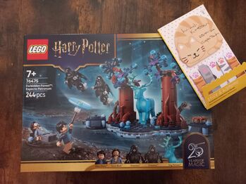 76475 Harry Potter: Forbidden Forest - Expecto Petronum, Lego 76475, Lindi Kirtsen, Harry Potter, Cape Town