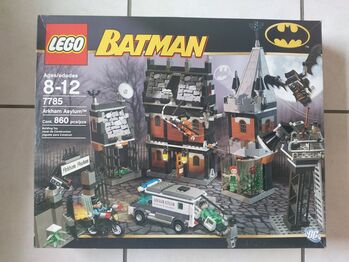Batman Arkham Asylum, Lego 7785, Tracey Nel, Super Heroes, Edenvale