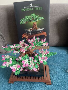 Bonsai Tree, Lego, Khalid, Diverses, Cape town