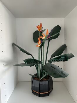 Botanical Collection Bird of Paradise, Lego 10289, Tea Kozar, Diverses, Bern