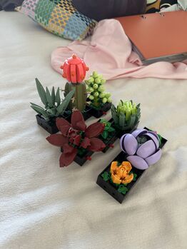 Botanical Collection Succulents, Lego 10309, Tea Kozar, Creator, Bern