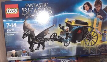 Brand new unopened. LEGO 75951 Fantastic Beasts -  Grindelwald´s Escape, Lego 75951, Vikki Neighbour, Harry Potter, Northwood
