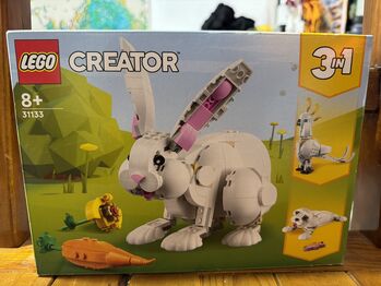 Creator Rabbit, Lego 31133, Michelle , Creator, Singapore