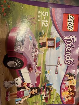 Emma mit Auto, Lego 41013, Elisabeth Wolfsegger, Friends, Lohnsburg