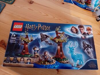 Expecto Patronum, Lego 75945, Cheryl Drew, Harry Potter, COLCHESTER