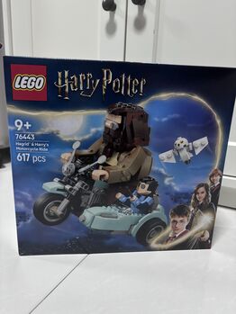 Hagrid & Harry Motorcylce Ride, Lego 76443, Hannah Haziqah, Harry Potter, Singapore