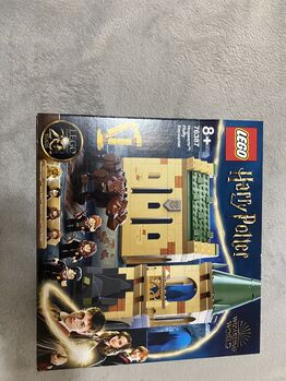Harry Potter - Fluffy Encounter, Lego 76387, Wouter Lotter, Harry Potter, Johannesburg