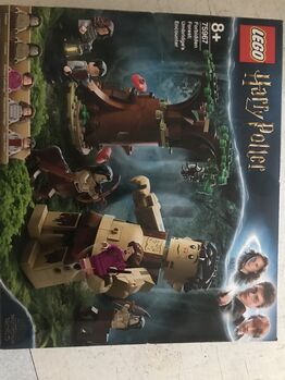 Harry potter Forbidden Forest, Lego 75967, Jeffrey Leticq, Harry Potter, Nunawading