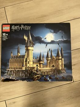Harry Potter Hogwarts Castle, Lego 71043, Emily Martens , Harry Potter, Pietermaritzburg 