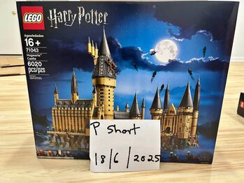 Hogwarts castle 71043, Lego 71043, Payton short, Harry Potter, Johannesburg 