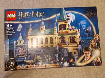 Hogwarts Chamber of Secrets 76389 - new, Lego 76389, Edmund Ridley, Harry Potter, Reading