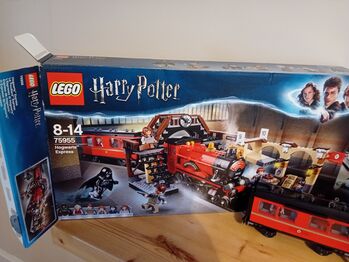 Hogwarts Express, Lego 75955, Cheryl Drew, Harry Potter, COLCHESTER