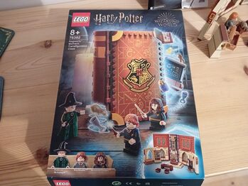 Hogwarts moment- Transfiguration class, Lego 76382, Cheryl Drew, Harry Potter, COLCHESTER