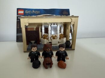 Hogwarts poly juice potion mistake., Lego 76386, Georgia Bottger, Harry Potter, Cape Town 