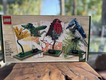 Ideas Birds, Lego 21301, Laurin Jean McLaren, Ideas/CUUSOO, Gauteng