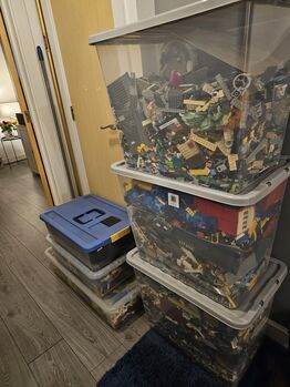 Large Lego Collection, Lego Multiple , Stacy Hutson, Diverses, Southampton