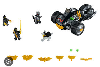Lego Batman Attack of the Talons set, Lego 76110, Karen Honan, Super Heroes, Maidstone