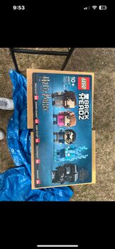 Lego brick heads, Lego 40677, Alfie Nuttall, Harry Potter, Brogborough, Central Bedfordshire