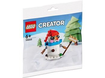 LEGO Creator Snowman, Lego 30645, Settie Olivier, Creator, Pretoria