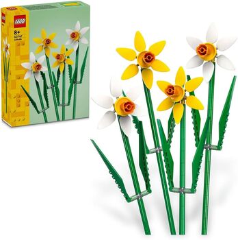 lego daffodils, Lego, isabella, Diverses, Durban 