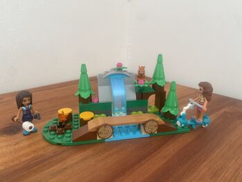 LEGO Friends Forest Waterfall, Lego 41677, Claudine de Wet, Friends, Pringle Bay Cape Town 