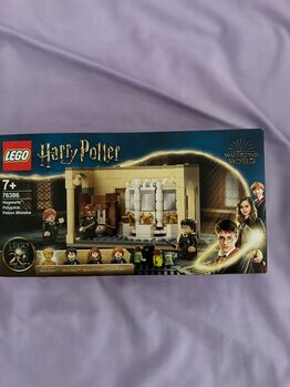 Lego Harry Potter 76386 Hogwarts: Polyjuice Potion Mistake BNIB, Lego 76386, Nathan D'souza, Harry Potter, Hemel Hempstead