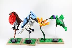 Lego Ideas Birds, Lego, Dream Bricks (Dream Bricks), Ideas/CUUSOO, Worcester
