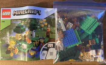 LEGO Minecraft, Lego 21165, Harper Gillespie, Minecraft, Peterborough 