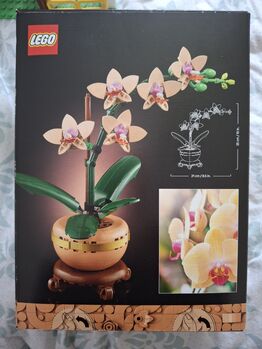 Lego Mini orchid, Lego 10343, Hilda, Architecture, Summerhill Meath