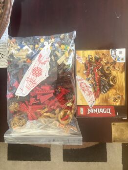 Lego Ninjago:Destinys Land bounty, Lego 70677, Emile, NINJAGO, STRAND