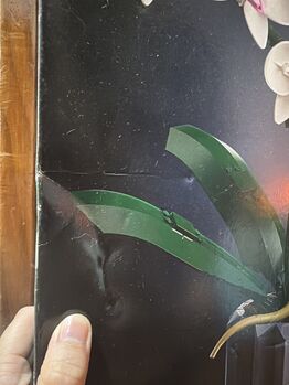 Lego Orchid, Lego 10311, Michelle , Diverses, Singapore