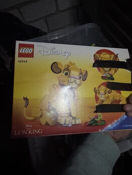 Der kleine Lego Simbabwe, Lego 43243, Pascal, Disney, Köln 