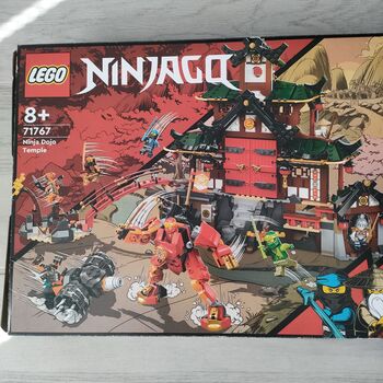 NINJA DOJO TEMPLE, Lego 71767, Mandy Bleach, NINJAGO, East London