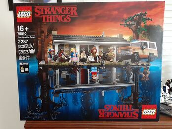 Stranger Things. The Upside Down., Lego 75810, Paul Firstbrook , other, Bergvliet, Cape Town. 
