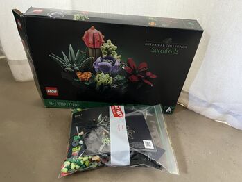 Succulents Botanical Set, Lego, Abby, other, Johannesburg