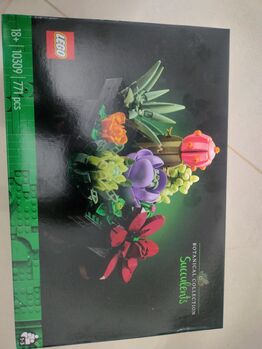 Succulents lego, Lego, Rohit Nikam, other, Bangalore