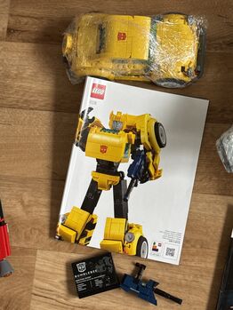 Transformers Bumble Bee, Lego 10338, Peter Pawson, other, North Tawton