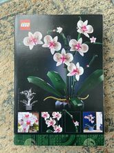 10311: Orchid Lego 10311