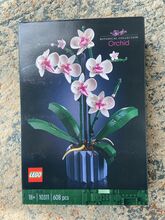 10311: Orchid Lego 10311