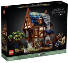 21325: Medieval Blacksmith - Retired Set, Lego 21325, T-Rex (Terence), Ideas/CUUSOO, Pretoria East