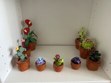 Botanical Collection Mini Plants, Lego 10329, Tea Kozar, other, Bern