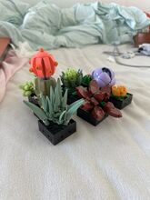 Botanical Collection Succulents Lego 10309