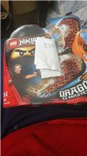 Cole dragon masters Lego 70645