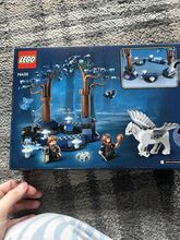 Forbidden forests magical creatures Lego 76432