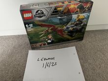 Jurassic World pteranodon chase Lego 75926