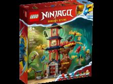 LEGO 71795 Temple of the Dragon energy Cores Lego 71795