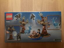 Lego 75945 - Harry Potter - Expecto Patronum - Neu / OVP Lego 75945