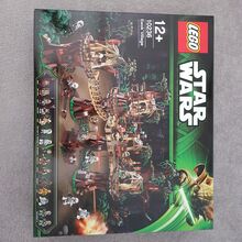 Lego Ewok Village, Lego 10236, Adam, Star Wars, Stockton-on-tees
